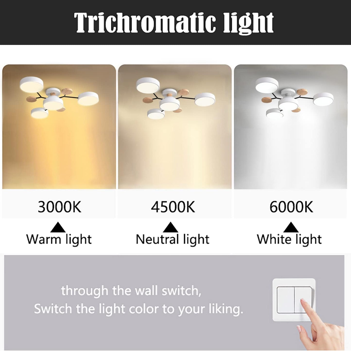 Circular LED Ceiling Light