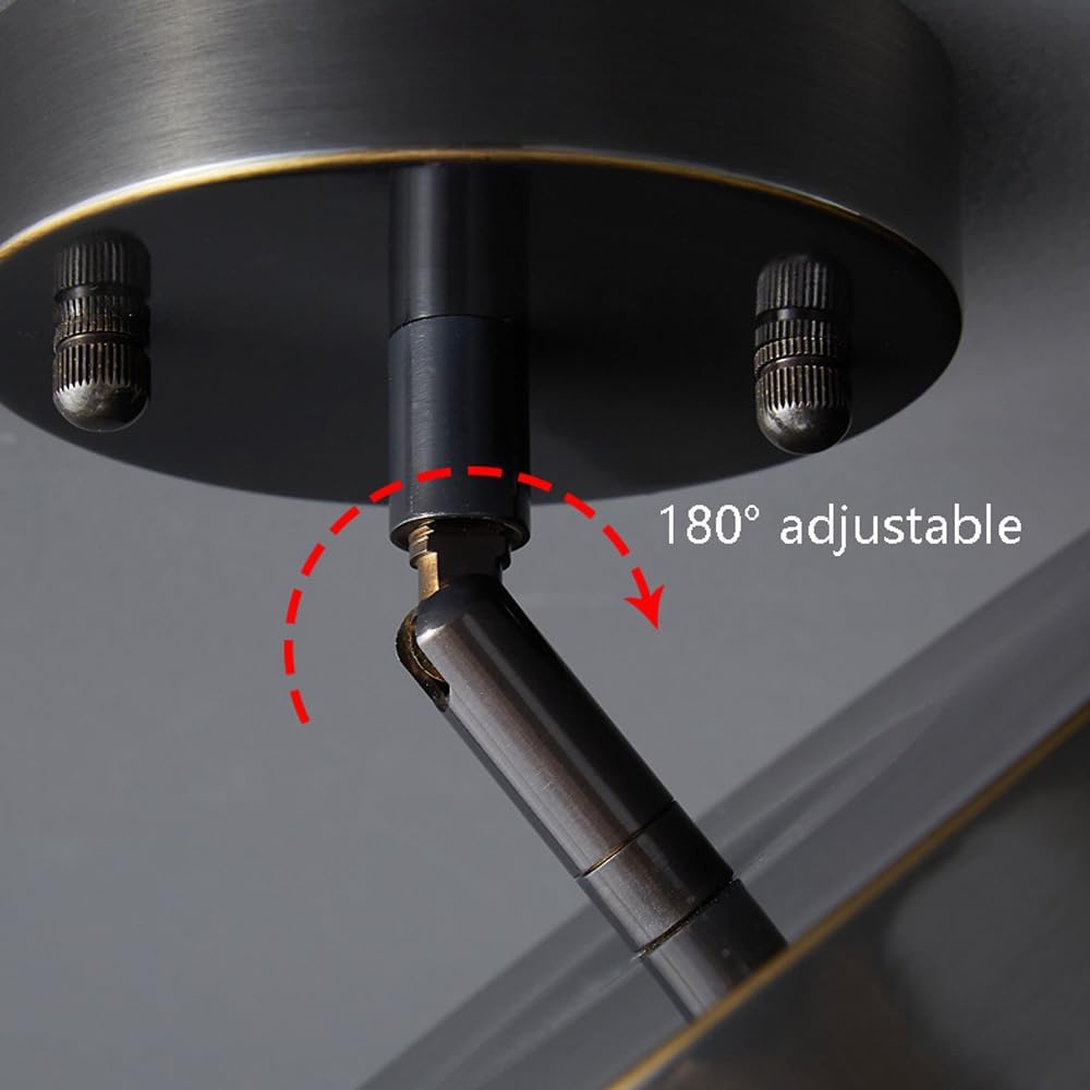 Adjustable LED Ceiling Light