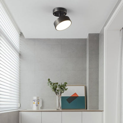 Adjustable LED Ceiling Light