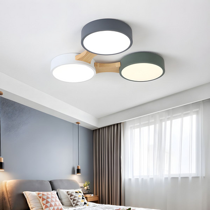 Contemporary Ceiling Light for Bedroom