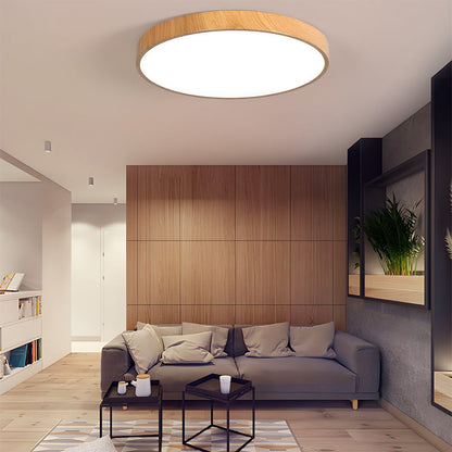 Iron Frame Ceiling Light