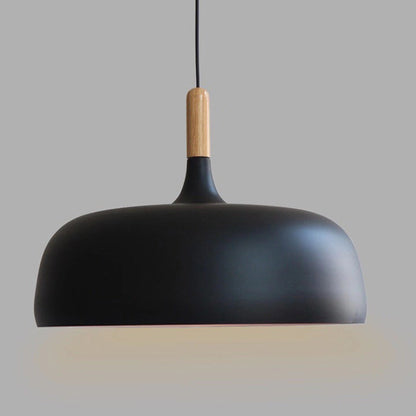 Vibrant Dome Pendant Light