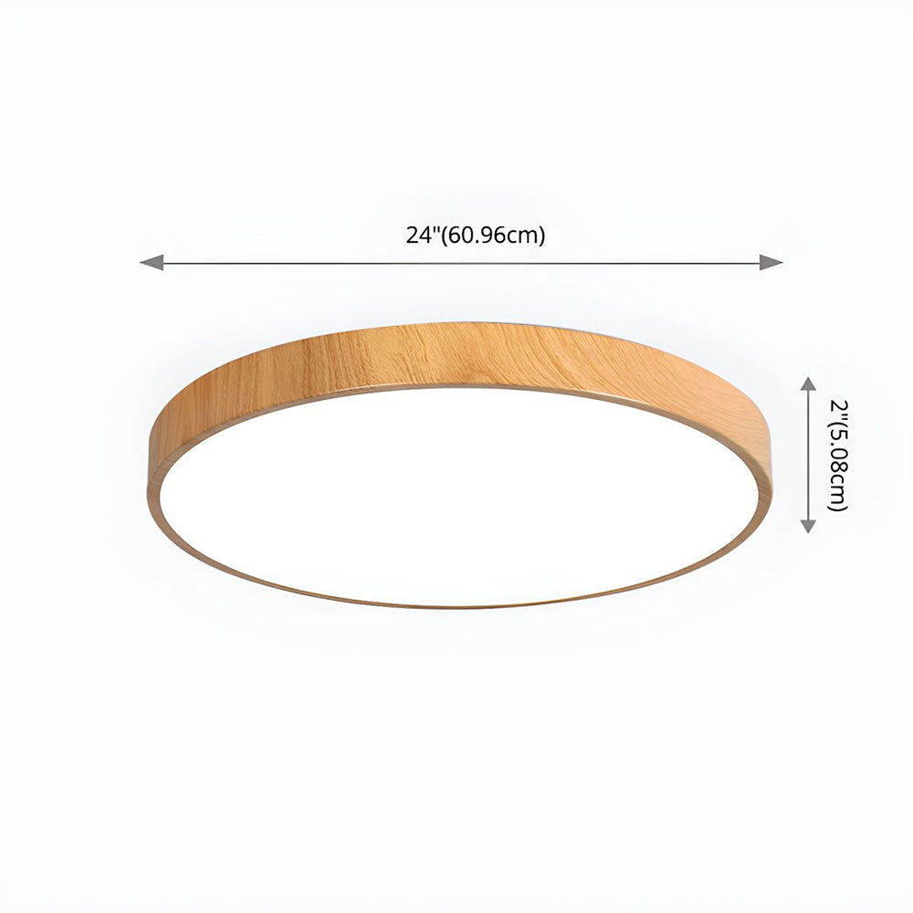 Iron Frame Ceiling Light