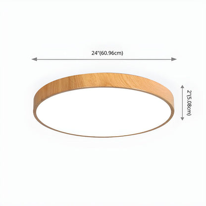 Iron Frame Ceiling Light