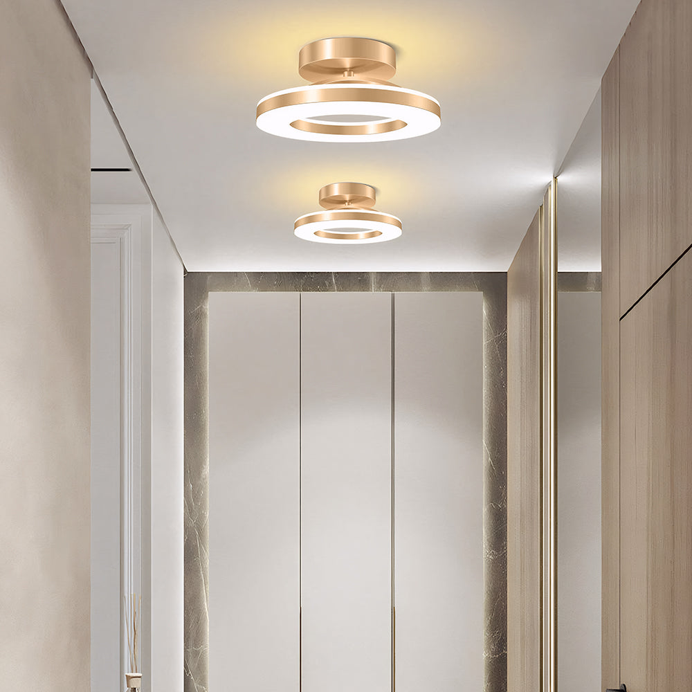Modern LED Ceiling Lamp for the Hall