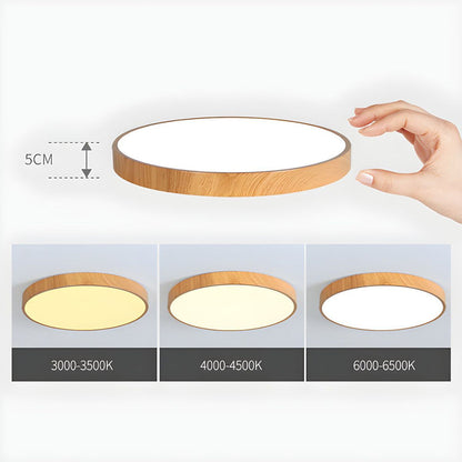 Iron Frame Ceiling Light