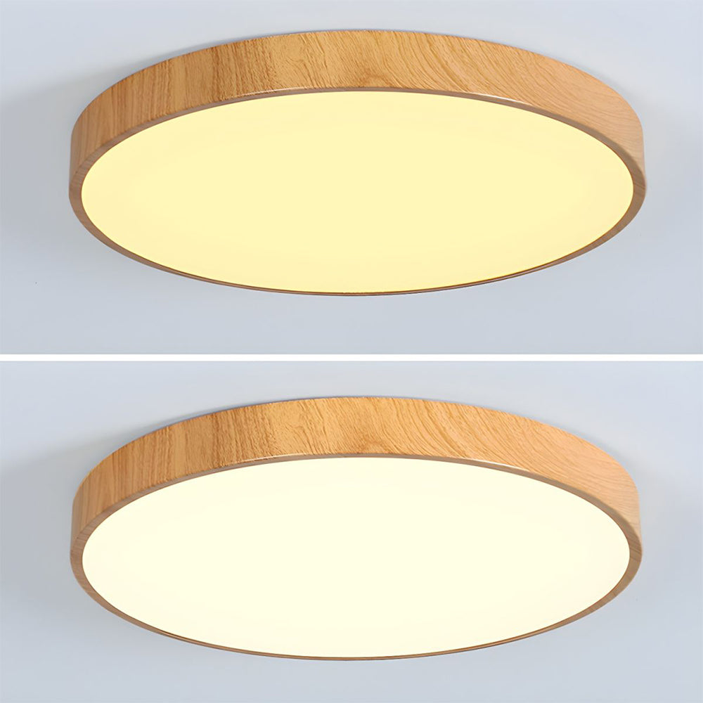 Iron Frame Ceiling Light