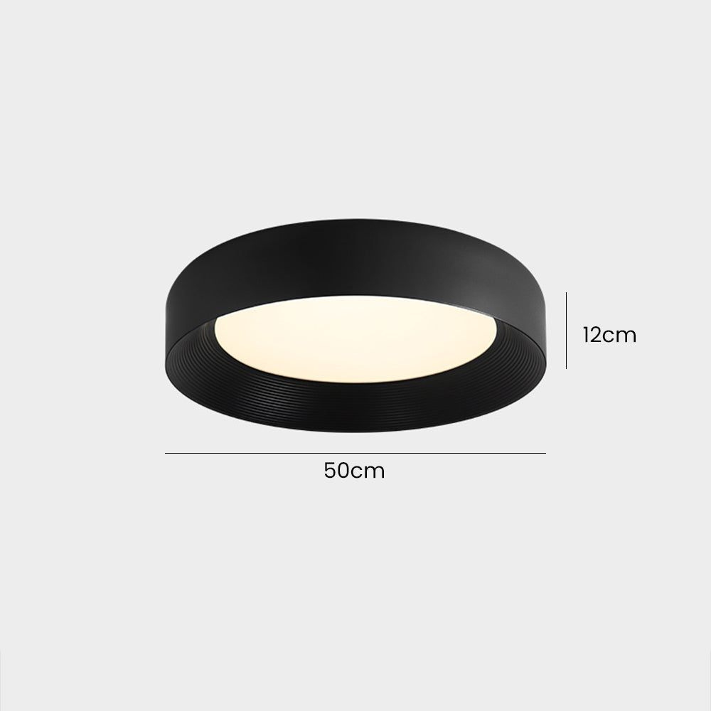 Modern Metal Ceiling Fixture