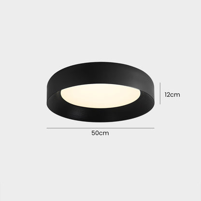 Modern Metal Ceiling Fixture