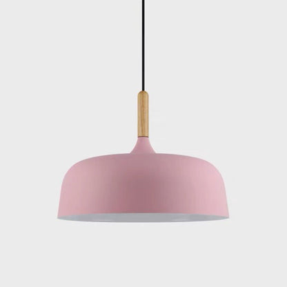 Vibrant Dome Pendant Light