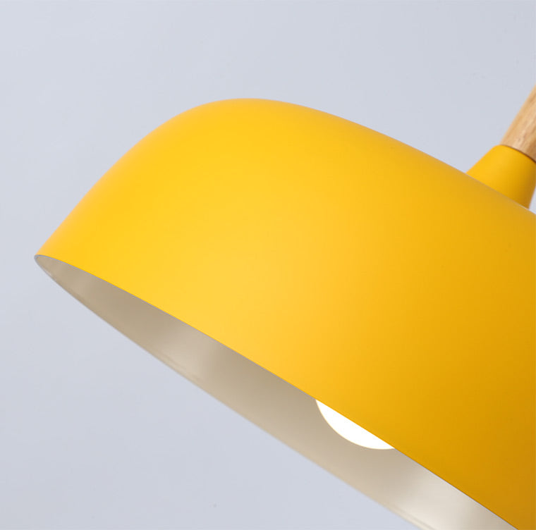 Vibrant Dome Pendant Light
