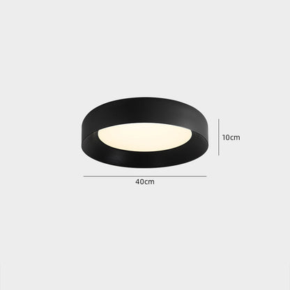 Modern Metal Ceiling Fixture
