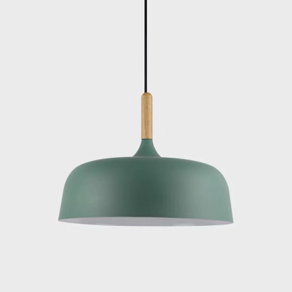Vibrant Dome Pendant Light