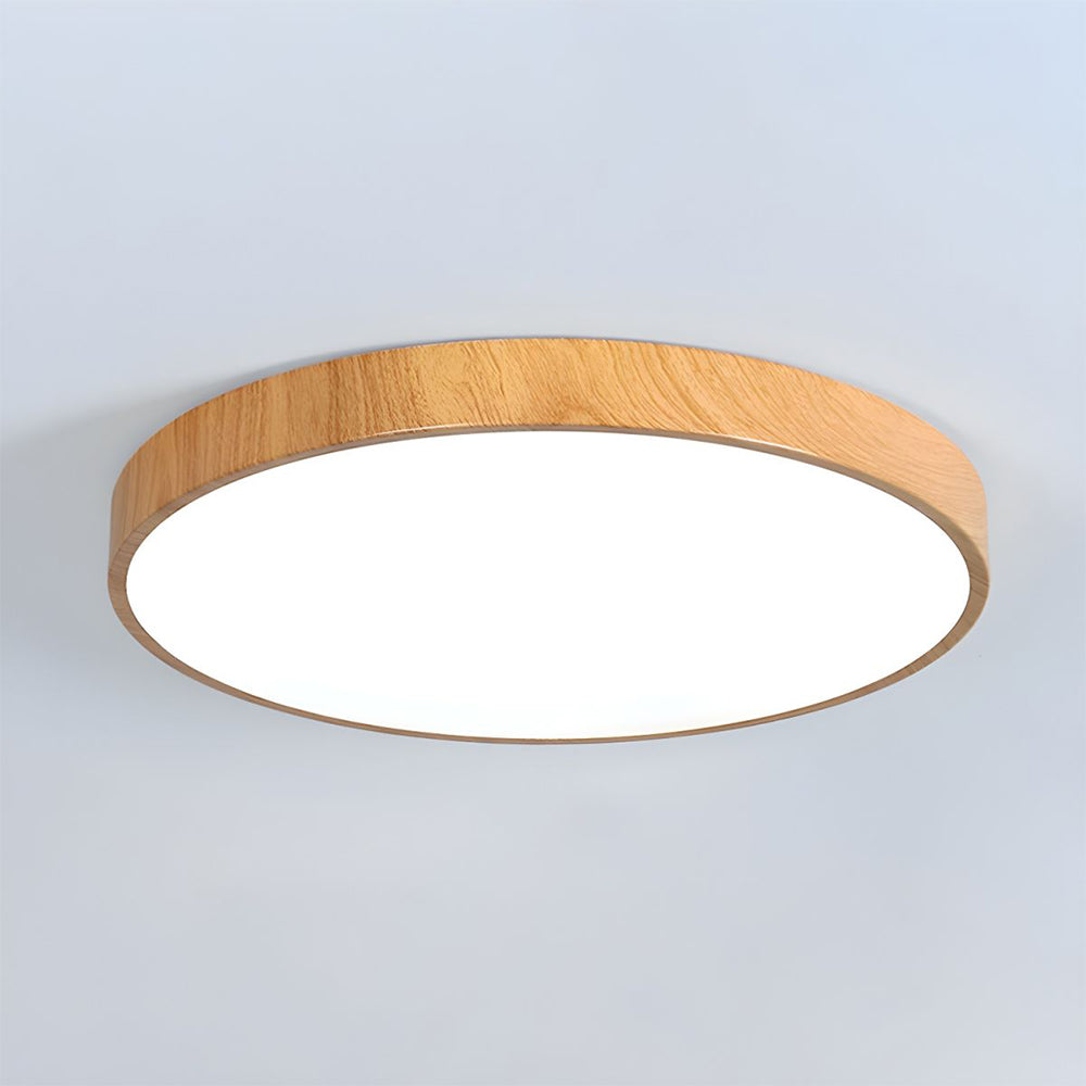 Iron Frame Ceiling Light
