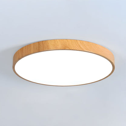 Iron Frame Ceiling Light