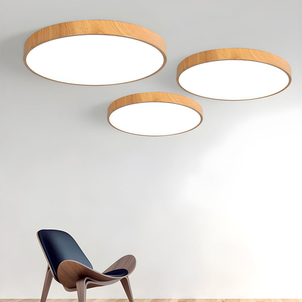 Iron Frame Ceiling Light