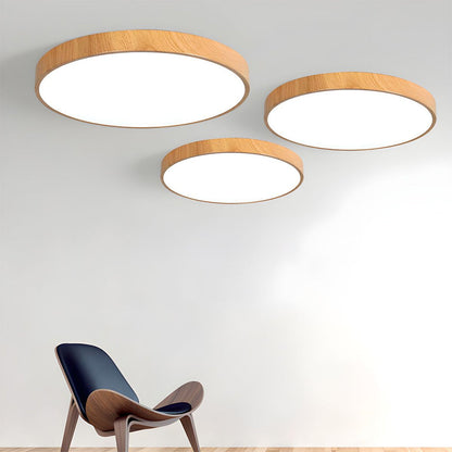 Iron Frame Ceiling Light