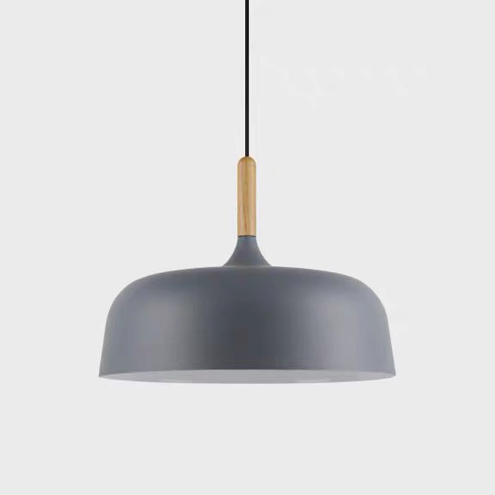 Vibrant Dome Pendant Light