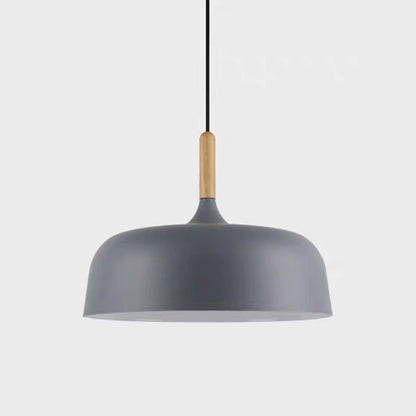 Vibrant Dome Pendant Light
