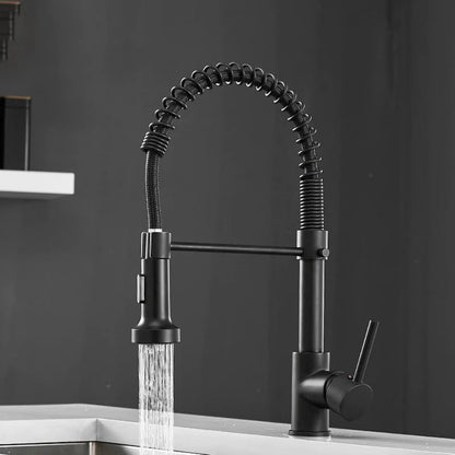 Modern Kitchen Faucet with Pull-Down Spring Sprayer