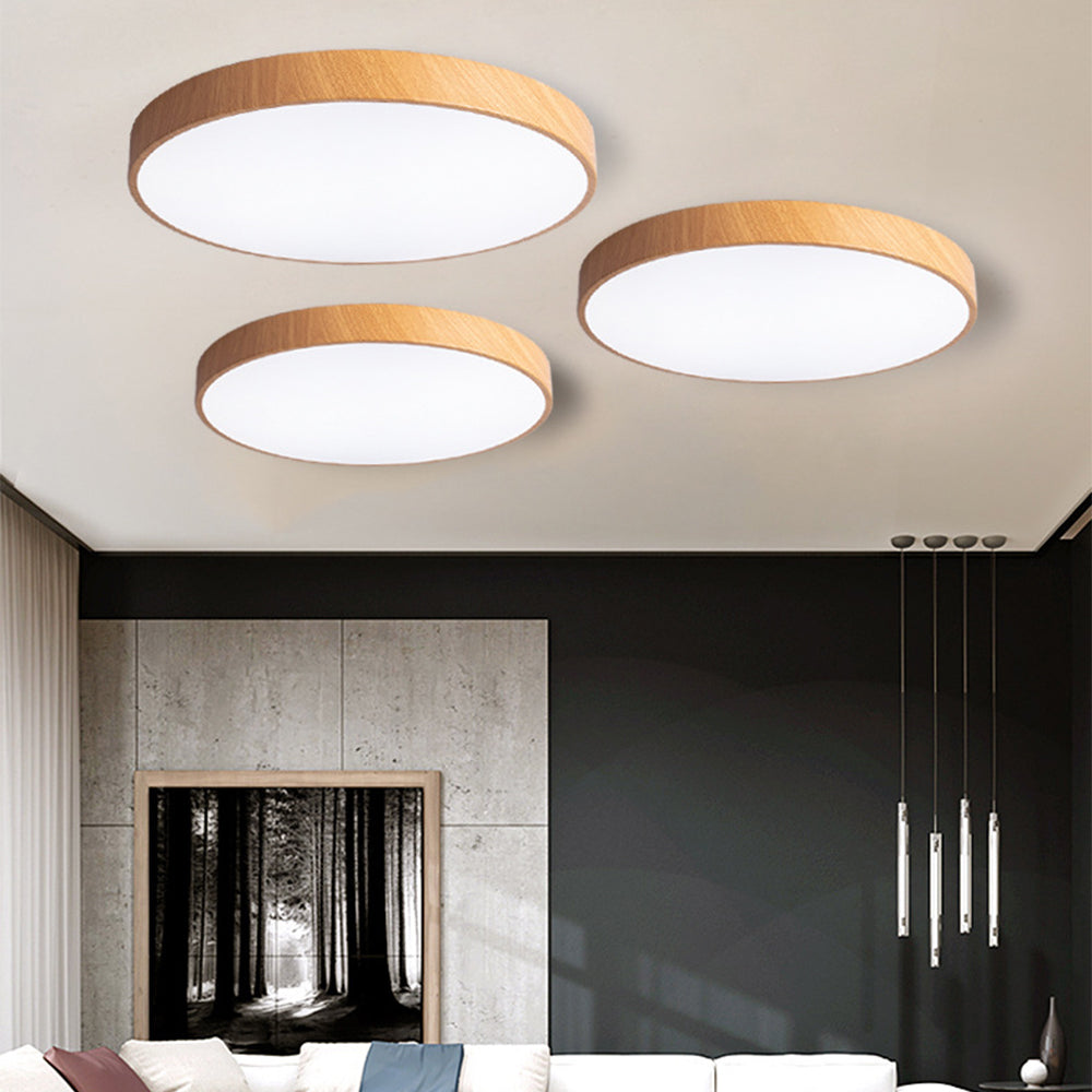 Iron Frame Ceiling Light