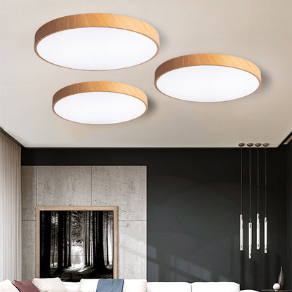 Iron Frame Ceiling Light