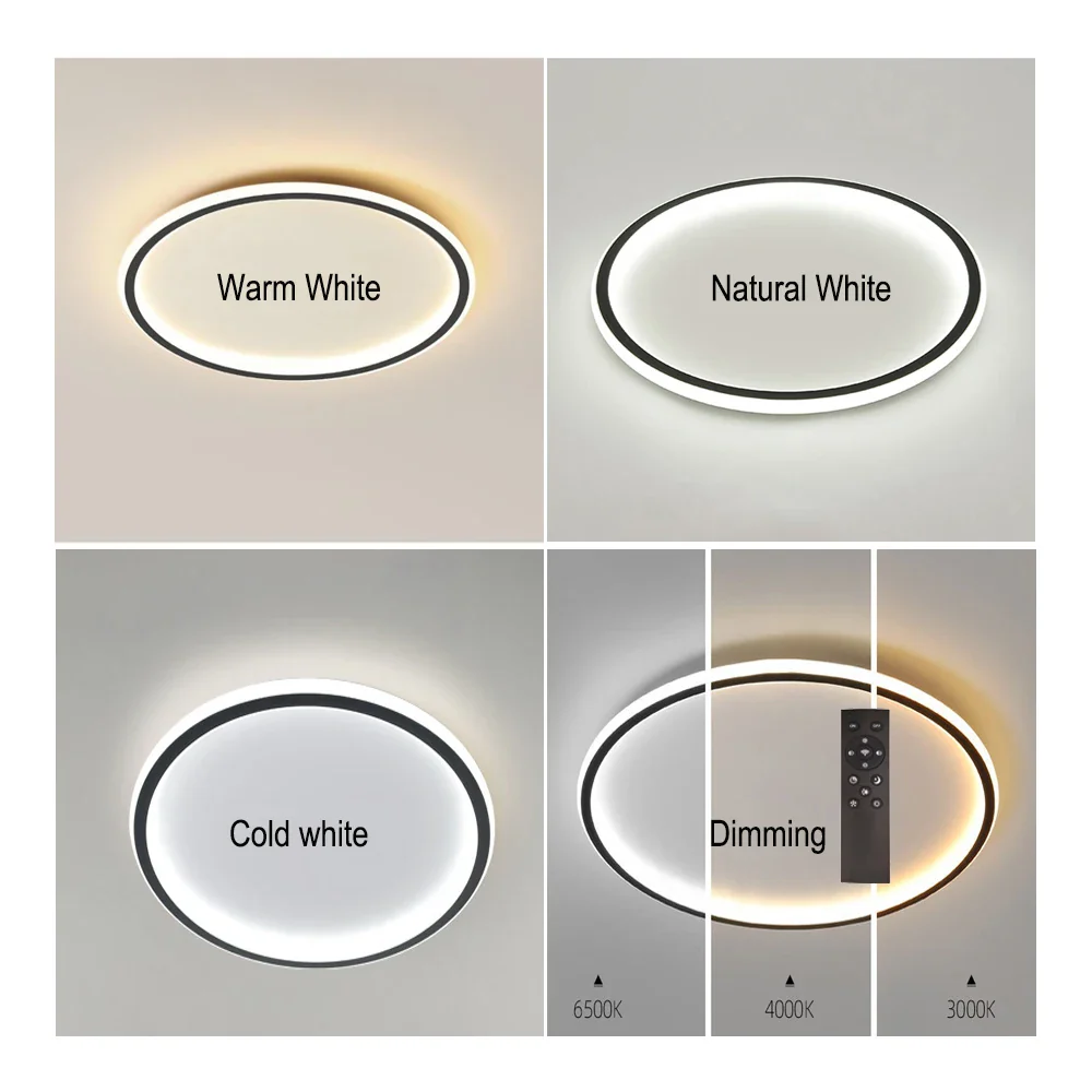 Contemporary Disc Ceiling Lamp