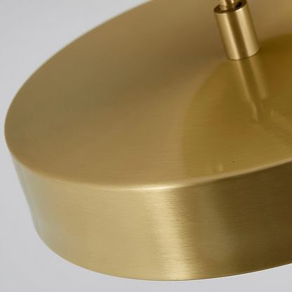 Adjustable LED Ceiling Light