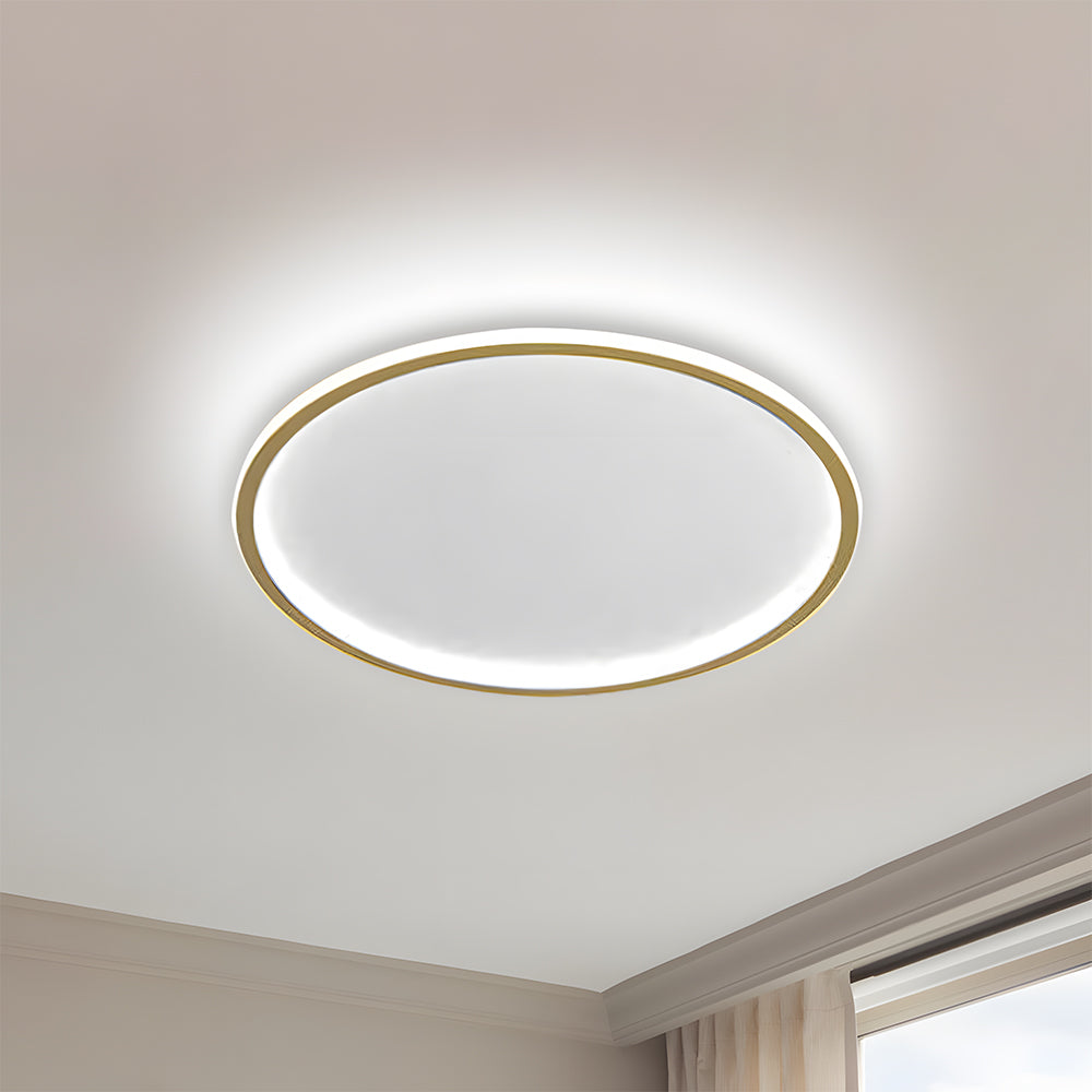 Contemporary Disc Ceiling Lamp