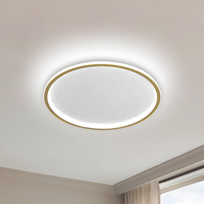 Contemporary Disc Ceiling Lamp