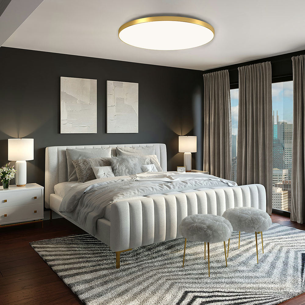 Modern LED Ceiling Light