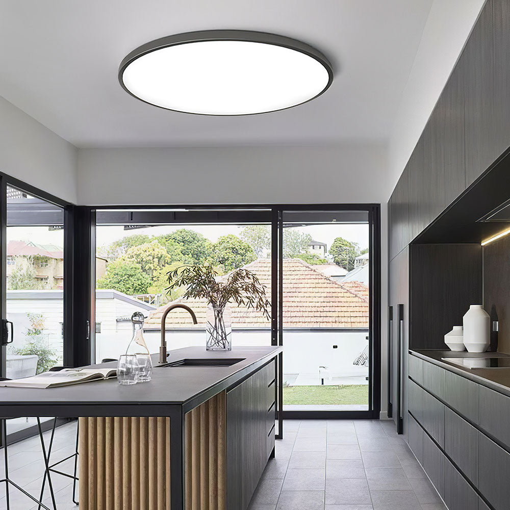 Modern LED Ceiling Light
