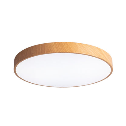 Iron Frame Ceiling Light