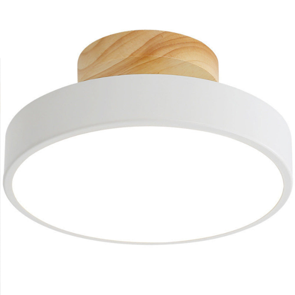 Colorful LED Ceiling Lamp with Modern Design