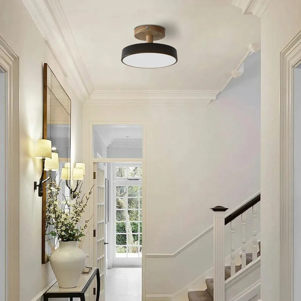 Round Iron LED Ceiling Light