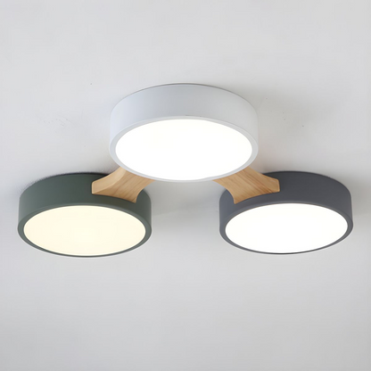 Contemporary Ceiling Light for Bedroom