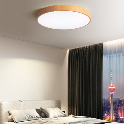 Iron Frame Ceiling Light