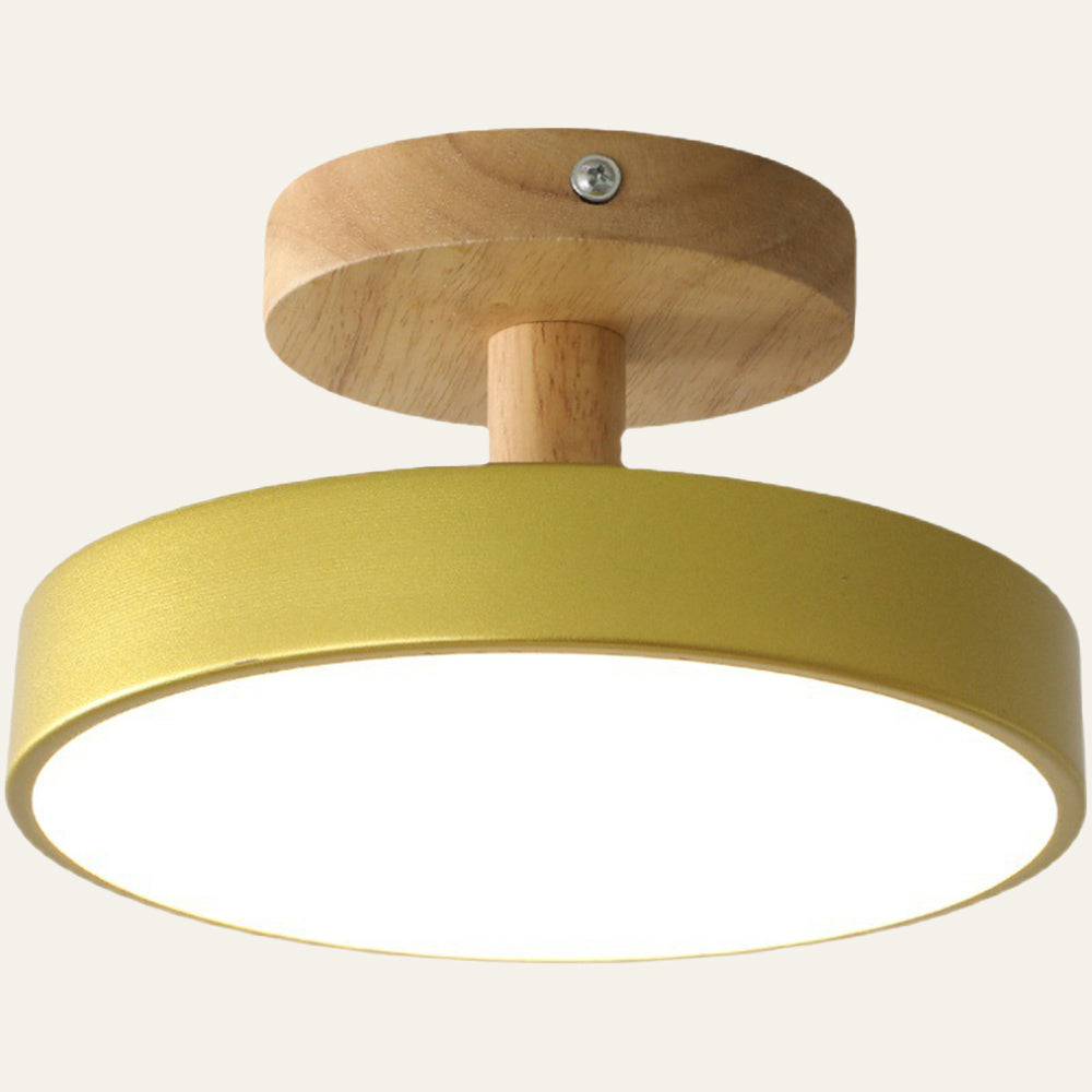 Round Iron LED Ceiling Light