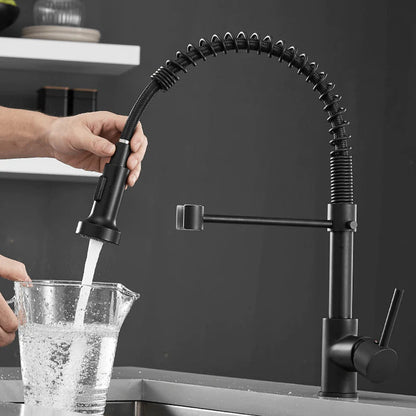 Modern Kitchen Faucet with Pull-Down Spring Sprayer