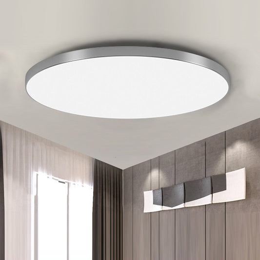 Modern LED Ceiling Light