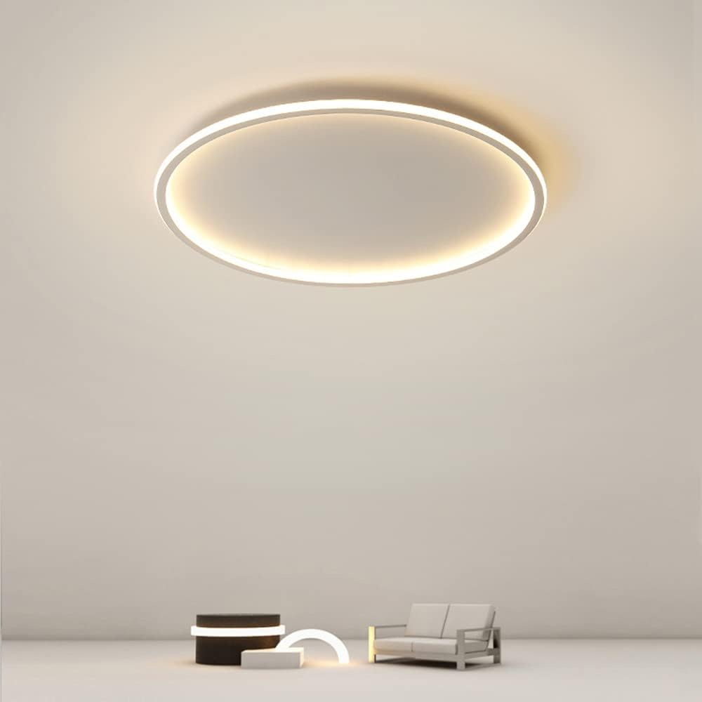 Contemporary Disc Ceiling Lamp