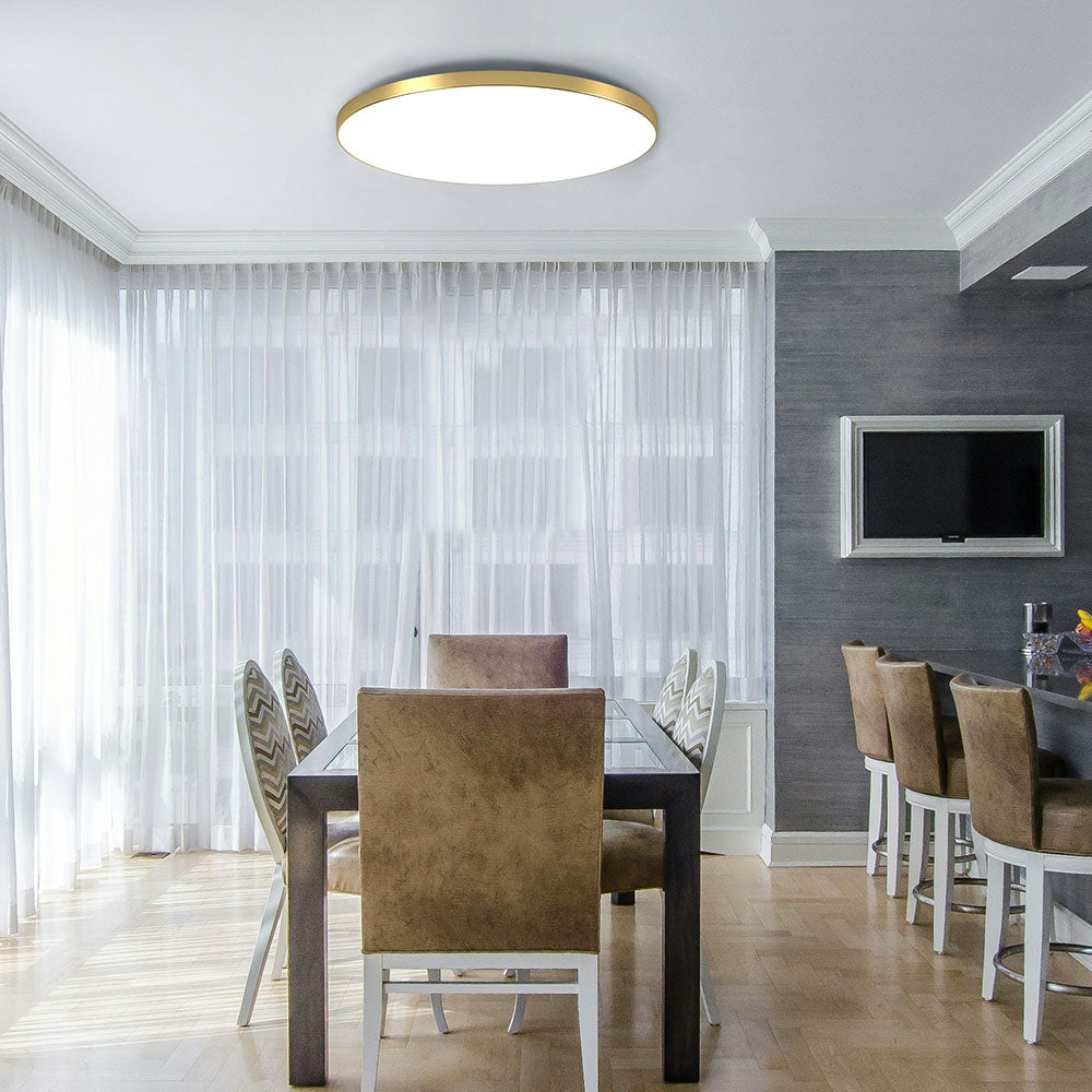 Modern LED Ceiling Light