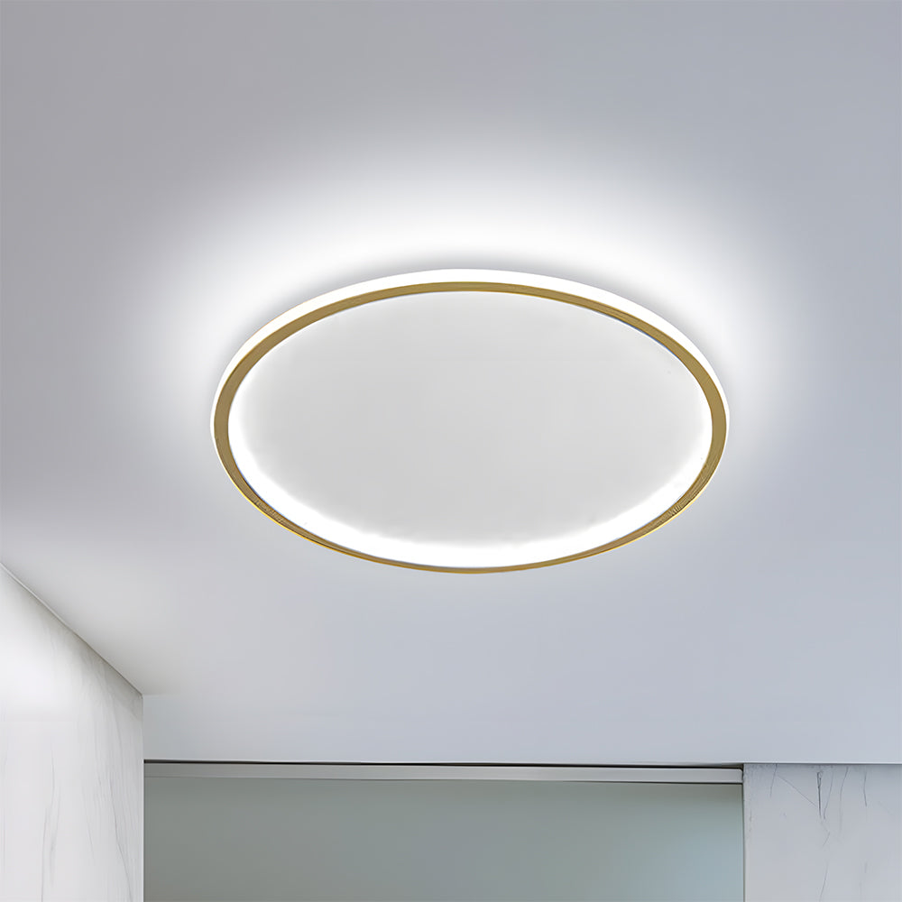 Contemporary Disc Ceiling Lamp