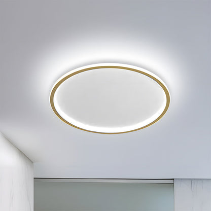 Contemporary Disc Ceiling Lamp