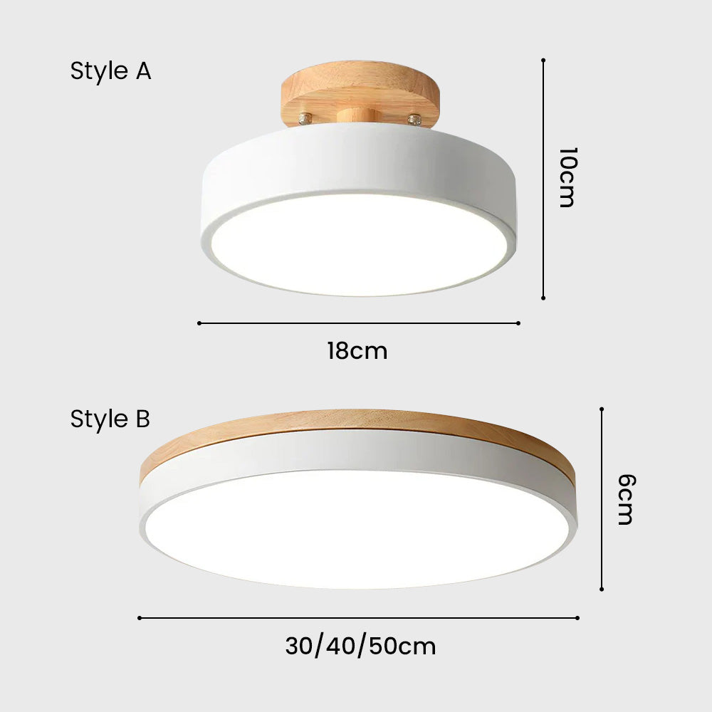 LED Ceiling Light