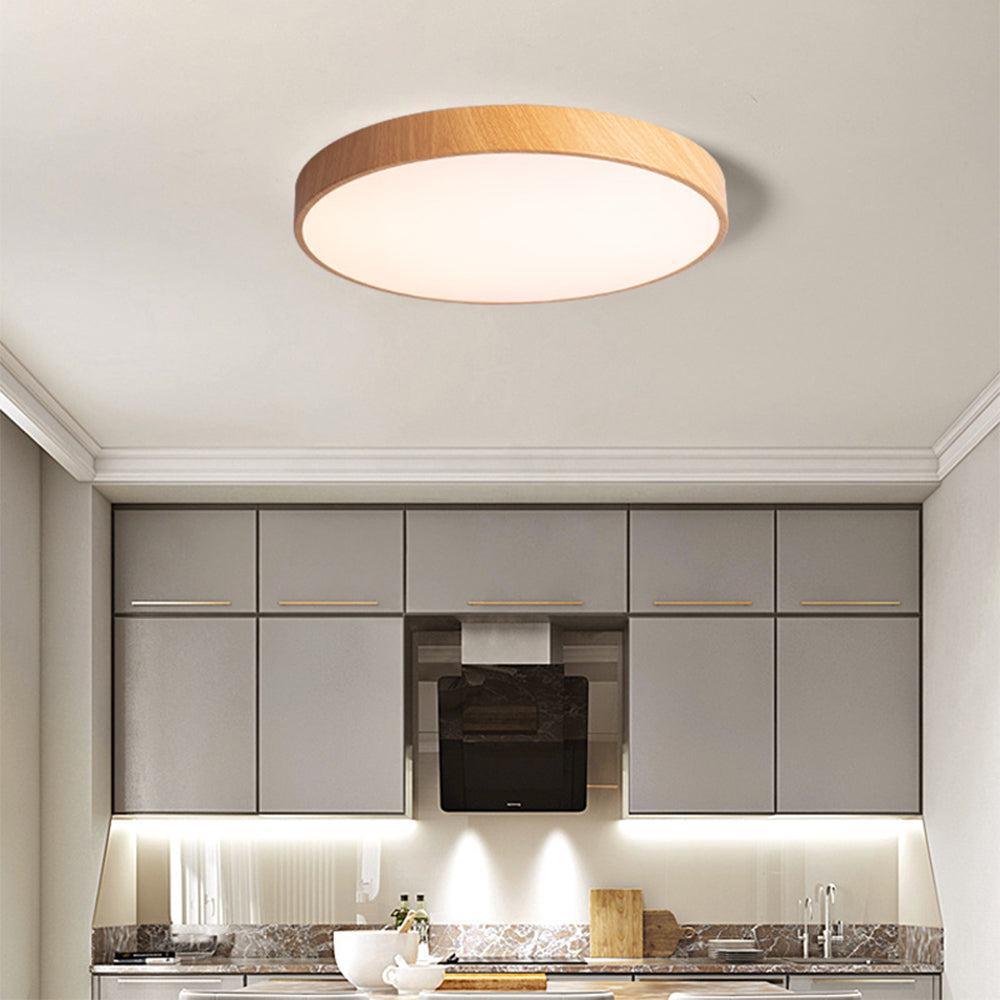 Iron Frame Ceiling Light