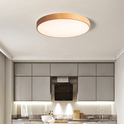 Iron Frame Ceiling Light