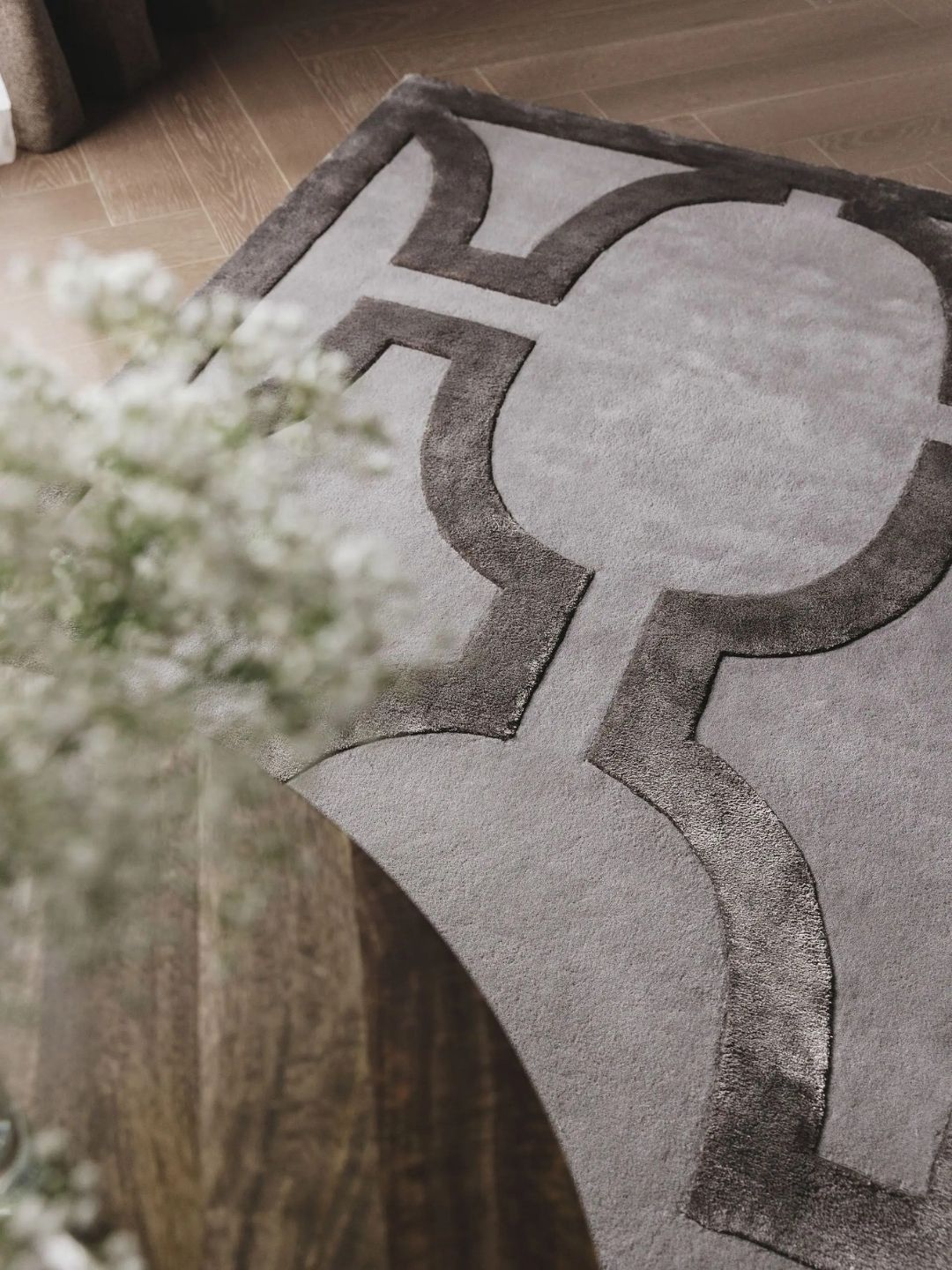 Cream wool rug living room design