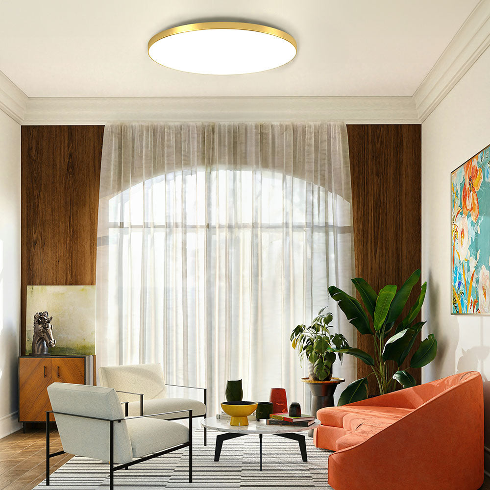 Modern LED Ceiling Light