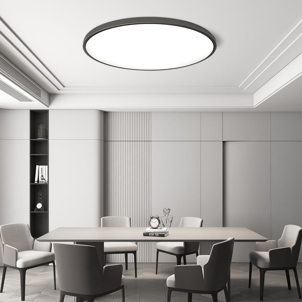 Modern LED Ceiling Light